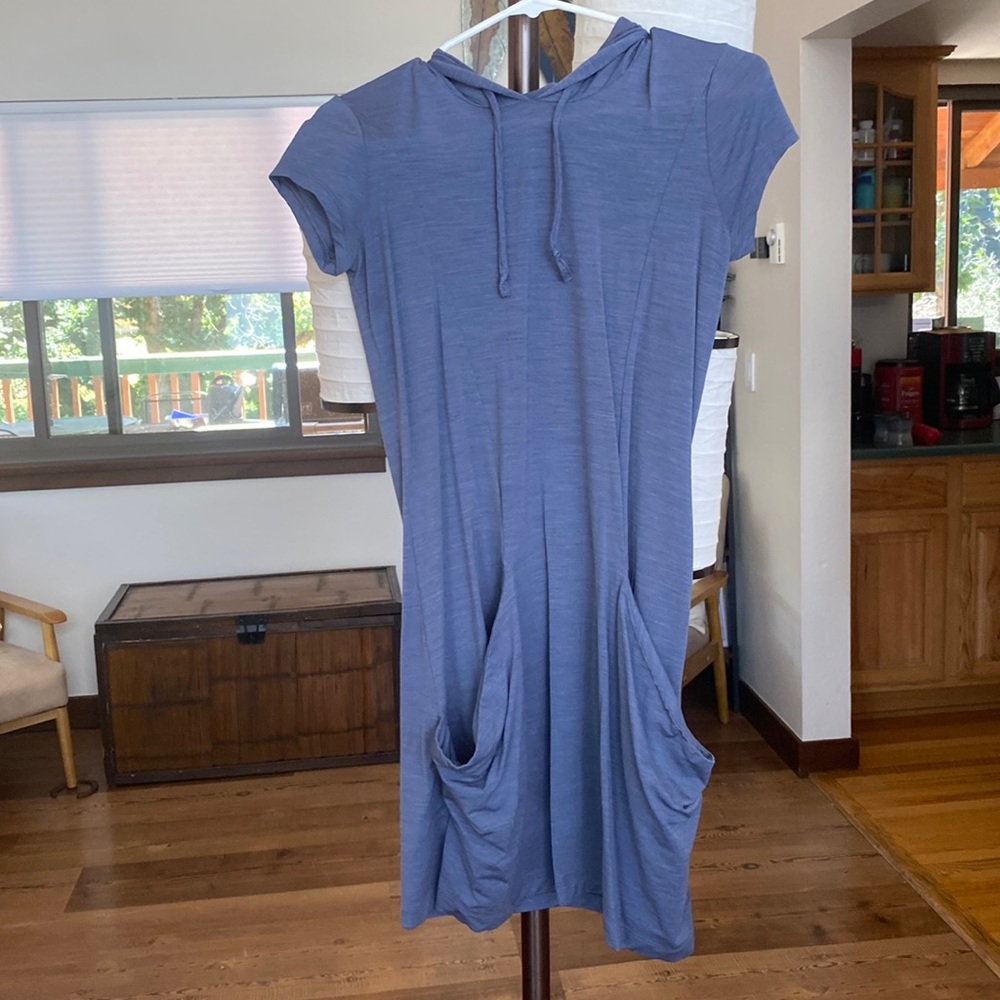 Icebreaker dress